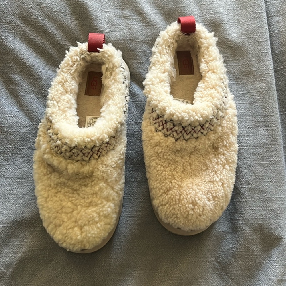 Ugg shoes - Tazz Shearling
